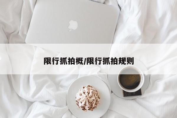 限行抓拍概/限行抓拍规则