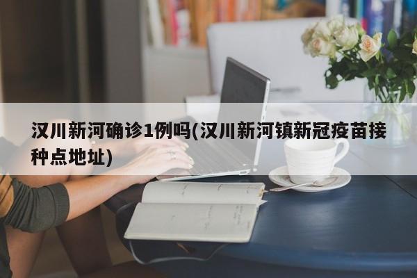 汉川新河确诊1例吗(汉川新河镇新冠疫苗接种点地址)
