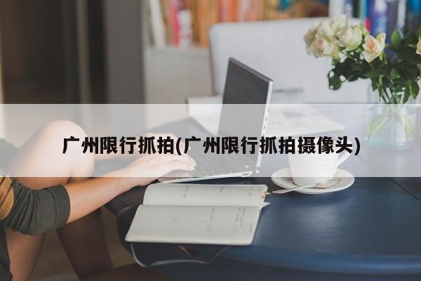 广州限行抓拍(广州限行抓拍摄像头)