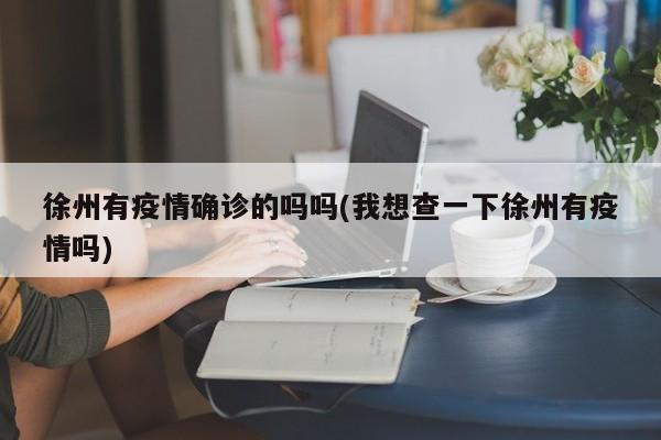 徐州有疫情确诊的吗吗(我想查一下徐州有疫情吗)