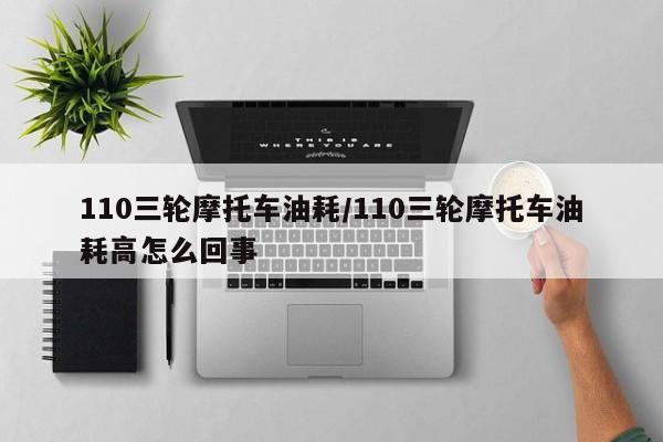 110三轮摩托车油耗/110三轮摩托车油耗高怎么回事